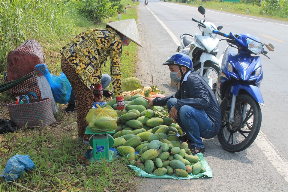 Tìm hướng thoát cảnh “trúng mùa mất giá” cho nông dân Miền Tây